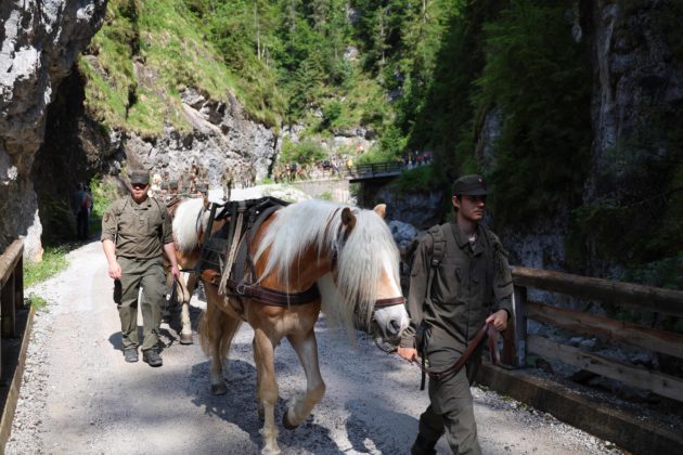 @Bundesheer/Riedlsperger