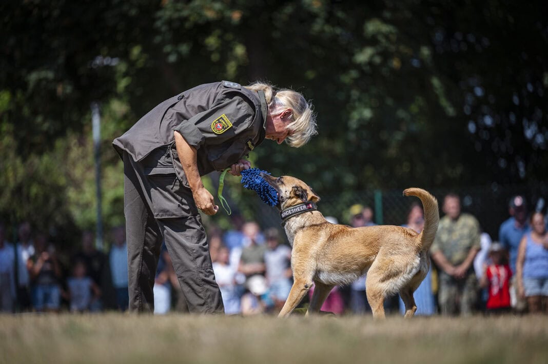 Rottweiler im Militärhundezentrum Kaisersteinbruch - ©Bundesheer/Kulec