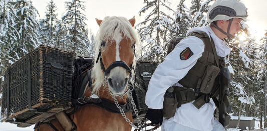 Ausbildung mit Pferd in Hochfilzen – ©Bundesheer/Auer